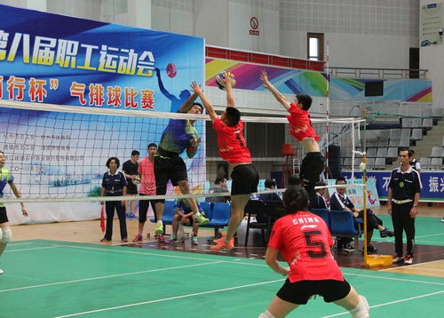 全民共享的体育盛会 杭州职工运动会项目，8岁到80岁都能参与